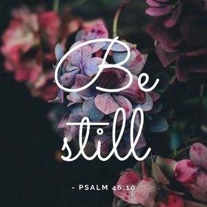 Meet your Posher, Liss